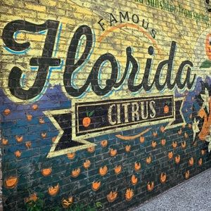 Meet your Posher, Violet